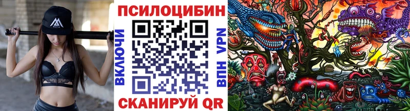 даркнет сайт  Усть-Катав  Галлюциногенные грибы мицелий 